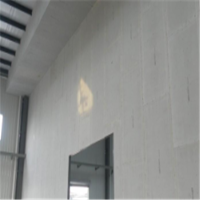 周至宁波ALC板|EPS加气板隔墙与混凝土整浇联接的实验研讨